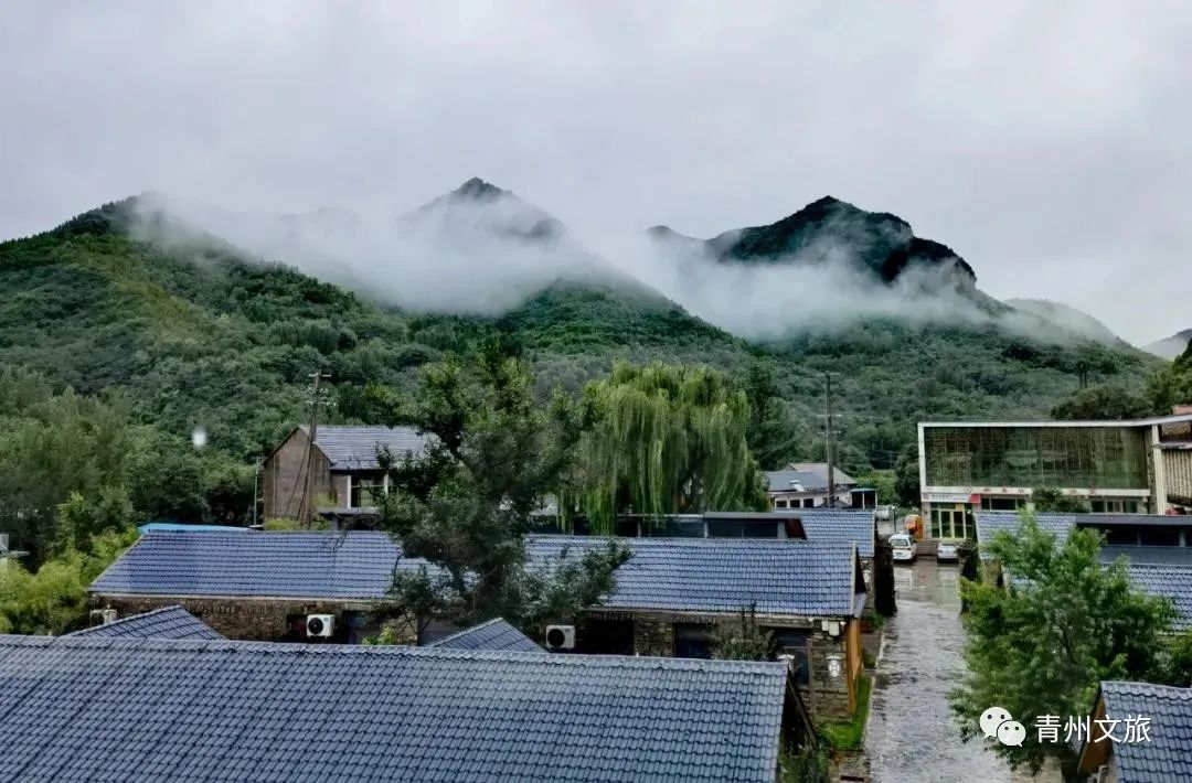 微信圖片_20220816143006.jpg